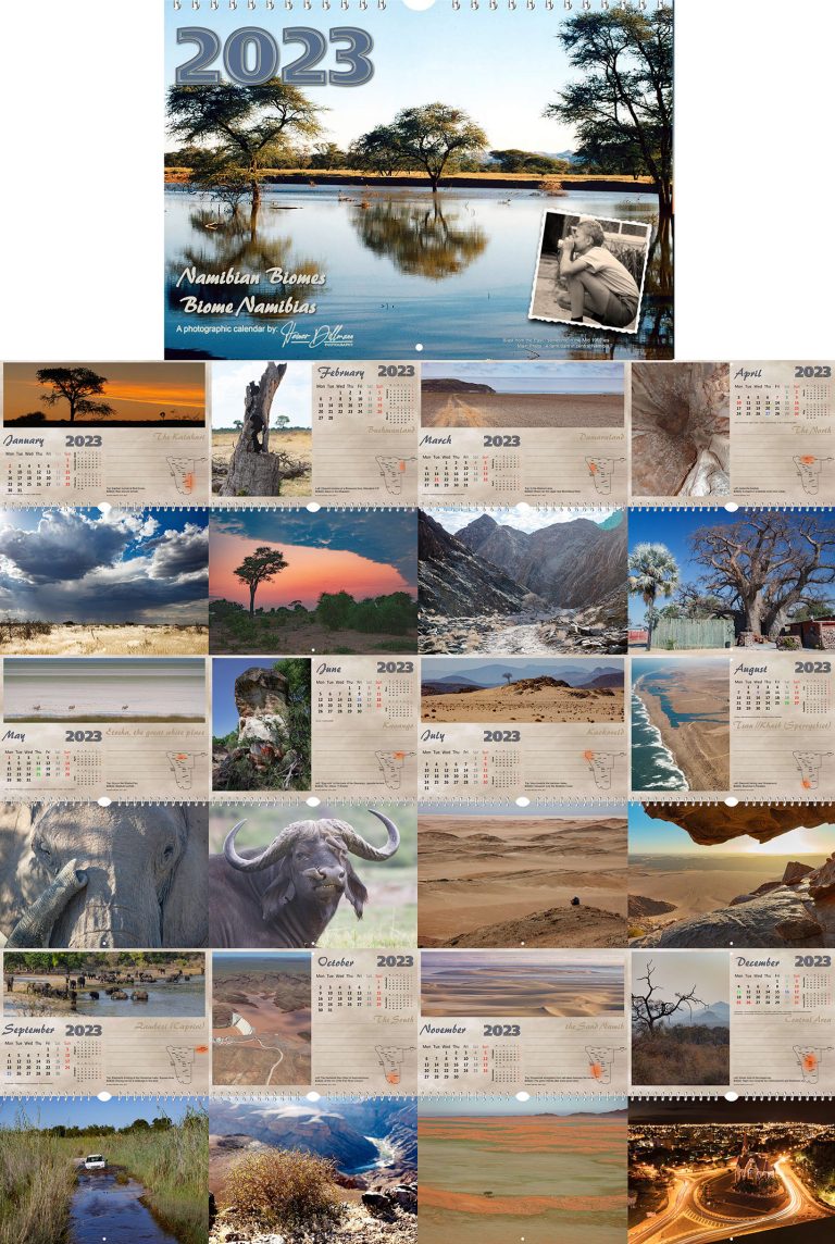 2023 Calendar