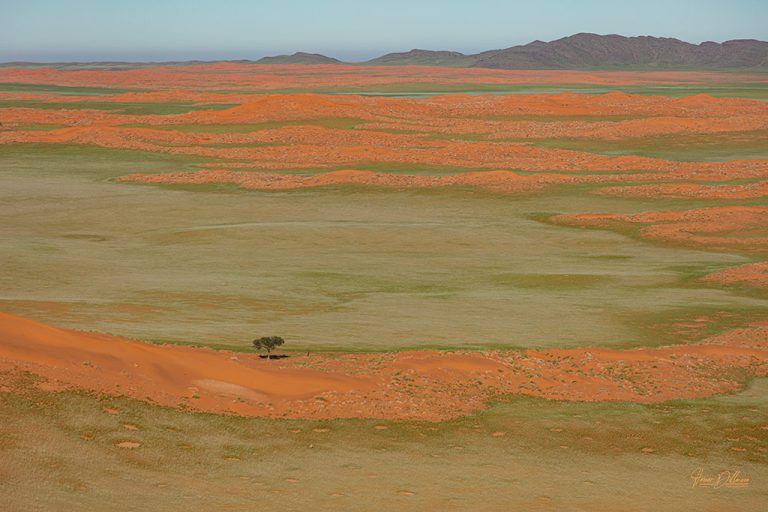 N-20220226-0051-68x45cm