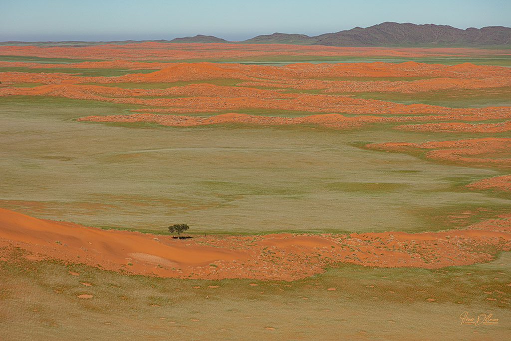 N-20220226-0051-68x45cm